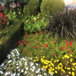 IMG_0956