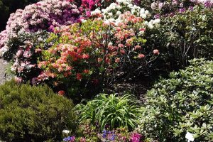 093e3016-e097-4bf7-88b0-e2b6446d49bc