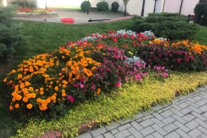 IMG_0961